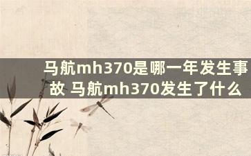 马航mh370是哪一年发生事故 马航mh370发生了什么